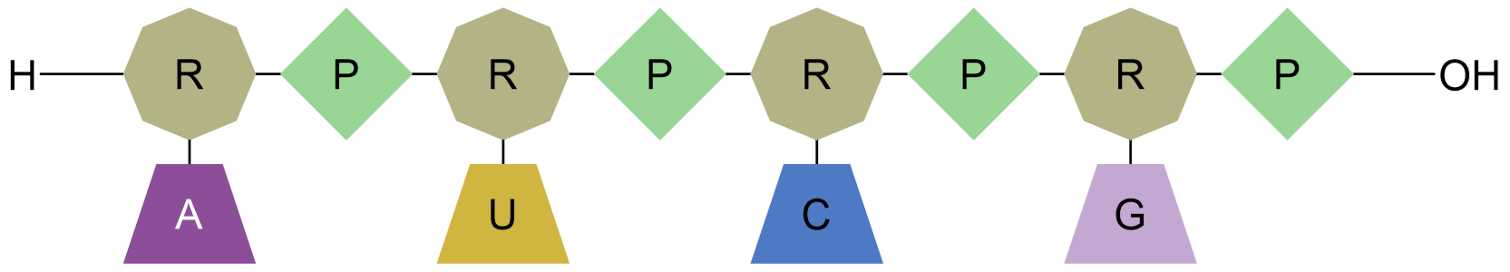 Pro/Fig24